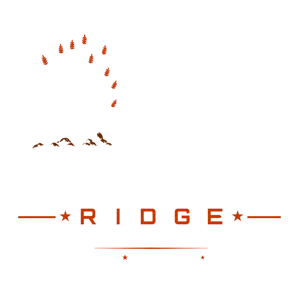 Horizon Ridge Construction Group